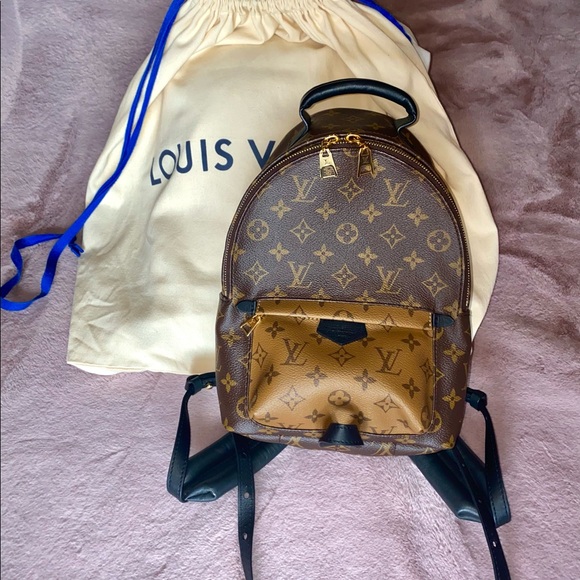 Louis Vuitton Palm Springs PM Bag - Picture 1 of 4